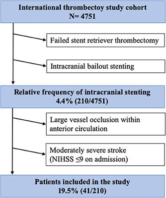 Intracranial Stenting After Failed Thrombectomy in Patients With Moderately Severe Stroke: A Multicenter Cohort Study